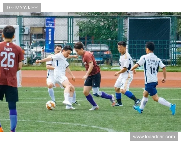 南京排球队在锦标赛中的灵活性表现与战术创新分析