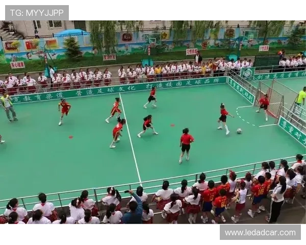 对话王强：回顾排球生涯的辉煌与挑战以及未来展望