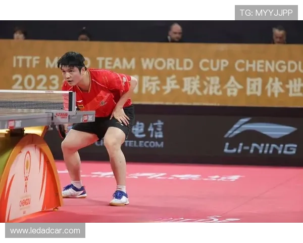 成都乒乓球队灵活性排名第二引发热议展现出色实力与潜力